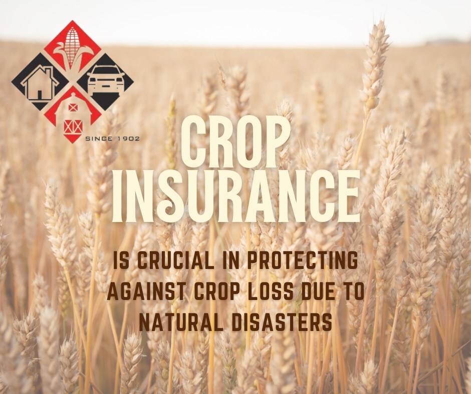 The Importance of Crop Insurance and Why Farmers in Michigan Need It